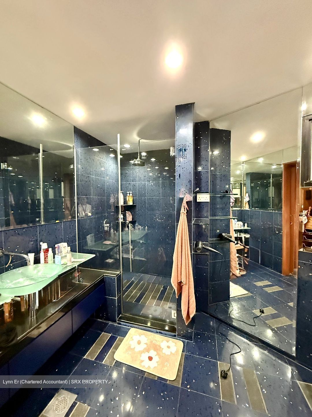 Heritage View (D5), Condominium #535458421